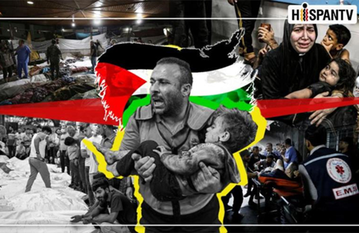 Umma Fragmentada: ¿Cómo la crisis de liderazgo y la desunión socavaron la causa palestina?