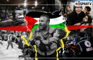 Umma Fragmentada: ¿Cómo la crisis de liderazgo y la desunión socavaron la causa palestina?