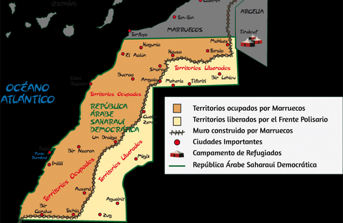 La injerencia de Francia en la región del Sáhara Occidental demuestra 'arrogancia colonialista'. Noticias de África