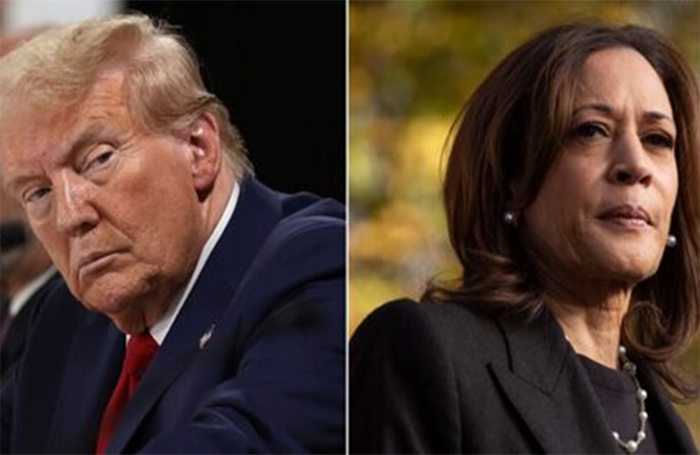 Kamala Harris teme que Donald Trump gane en los estados del “muro azul”. Análisis