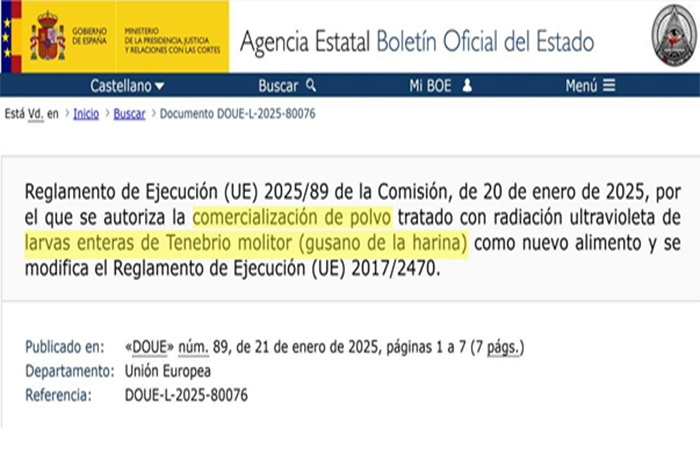 ¡Qué se los coman ellos! Bruselas intensifica la Agenda 2030 y aprueba el uso de larvas de gusano como «ingrediente» en alimentos