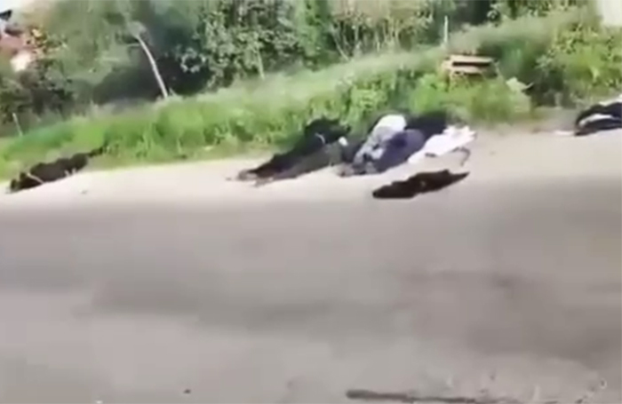 Carreteras llenas de cadáveres: alauitas aterrorizados huyen de los ataques del régimen prooccidental en Siria. VIDEOS. Análisis