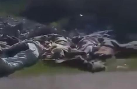'Diezmando a familias enteras': Monja describe cómo fue la 'masacre' en Siria mientras la UE sigue alimentando al régimen terrorista