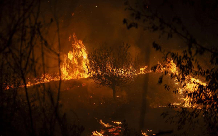 España: Un Estado fallido impotente ante los incendios. Muertos, heridos, animales abrasados, destrucción... Españoles ¿seguimos sin hacer nada?