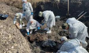 Occidente en silencio: Hallan fosas comunes de civiles rusos tras la retirada de las fuerzas ucranianas. Las negociaciones siguen bloqueadas