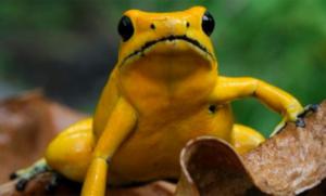 El chiste se cuenta solo: Primera imagen de la asesina de Navalny al servicio del “KGB”… según dicen ahora las sabandijas europeas