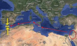 Geopolítica de la Crisis de Ceuta. El Frente Polisario es el único que desafía a Marruecos, Israel y Estados Unidos en el Sáhara Occidental