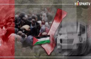 Lenta muerte de Gaza: ¿Cómo el bloqueo de ayuda ha llevado a los palestinos al borde del abismo?