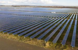 Energía, neutralidad climática y alimentación