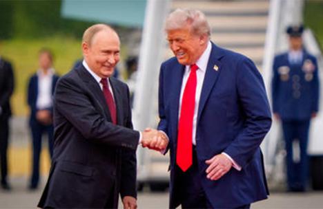 El circo continúa: Zelensky va a rendir cuentas a Washington acompañado de las sabandijas europeas que se han autoinvitado. Análisis