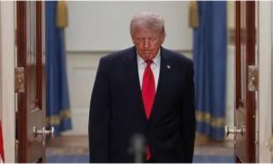 El tigre de papel finalmente se ha revelado al mundo.